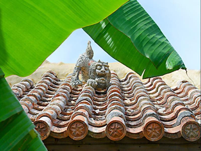 Hotel Nakijin No Yado Hibiscus Exterior foto