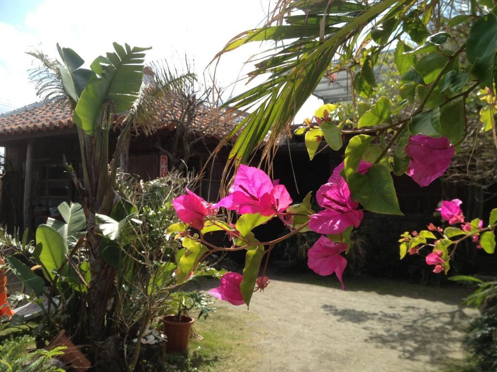 Hotel Nakijin No Yado Hibiscus Exterior foto