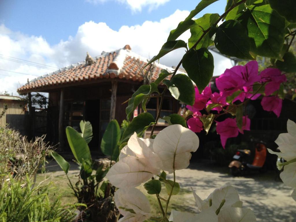 Hotel Nakijin No Yado Hibiscus Exterior foto