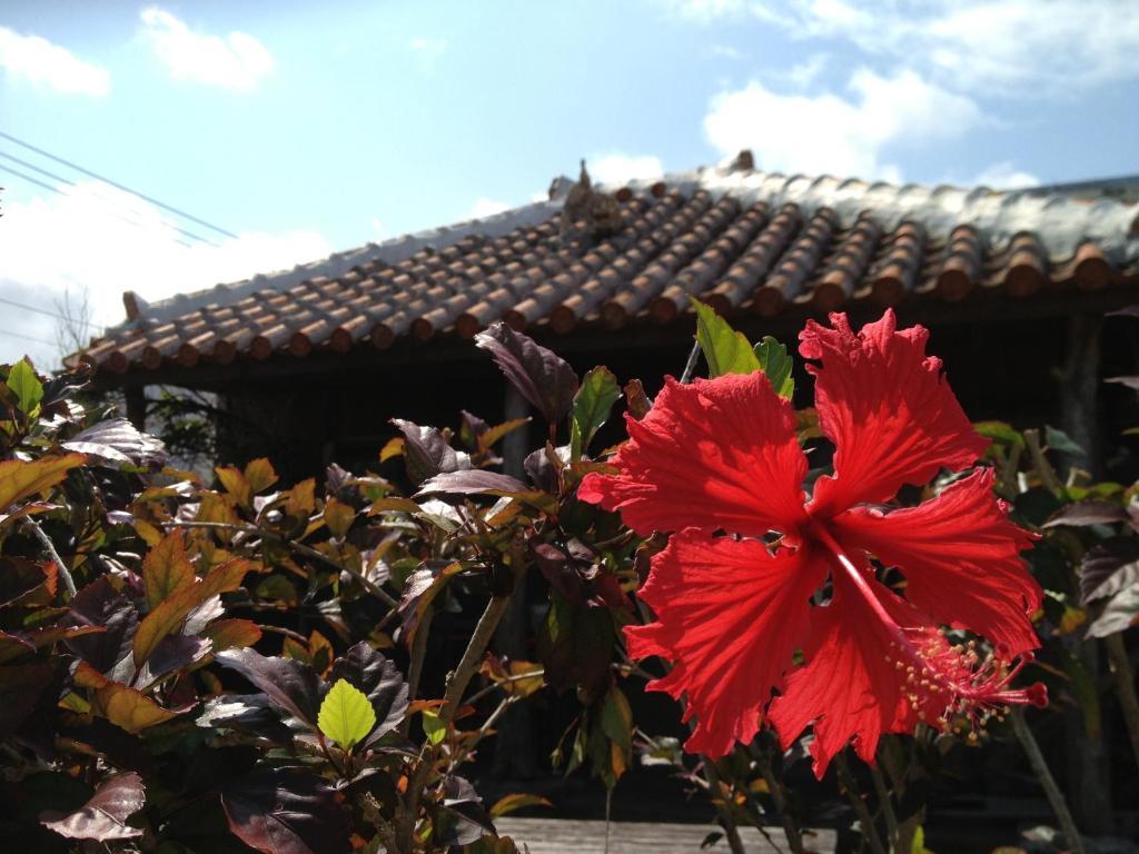 Hotel Nakijin No Yado Hibiscus Exterior foto